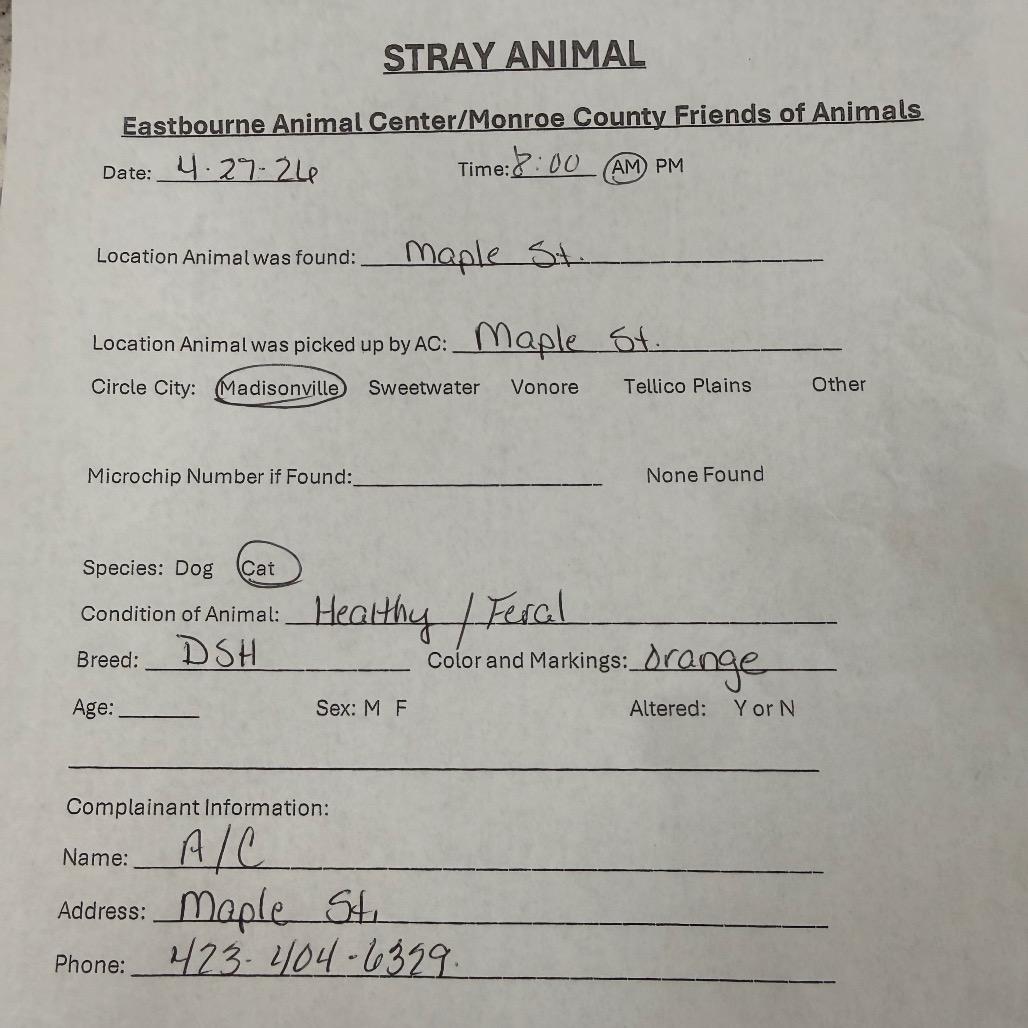 Naranga, a Adoptable mixed breed in Madisonville, TN image 4/5