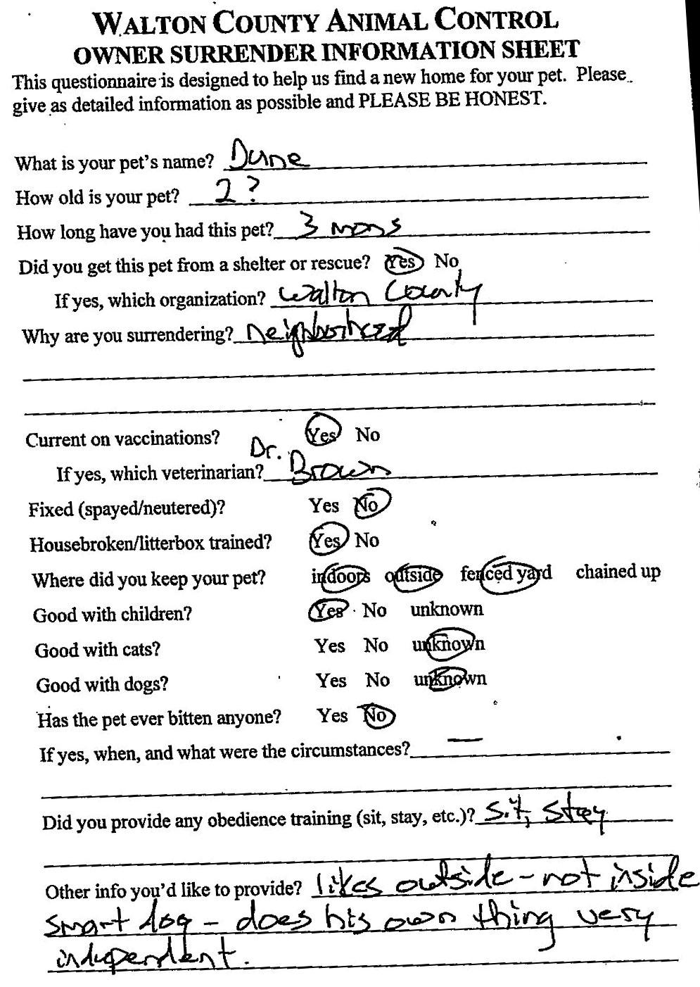 Enlarge Dune #21748, an adoptable Bullmastiff in Monroe, GA image 3/3