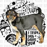 Ralphie, adopted, Puppy Male Australian Cattle Dog / Blue Heeler.