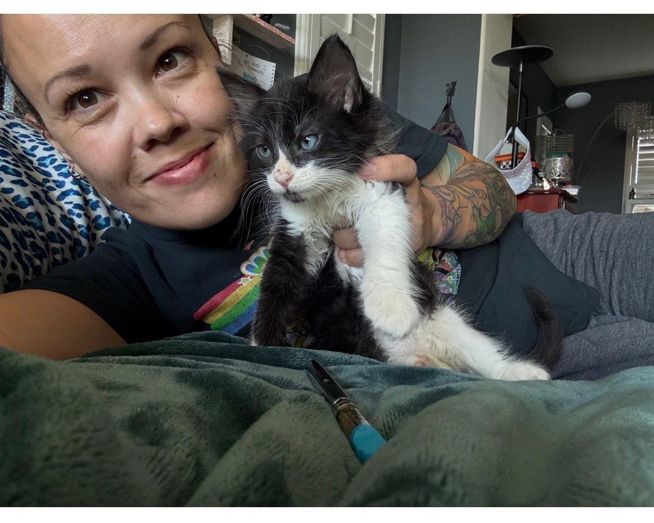 CP ( Christina ), a Adoptable Tuxedo in Vallejo, CA image 3/3