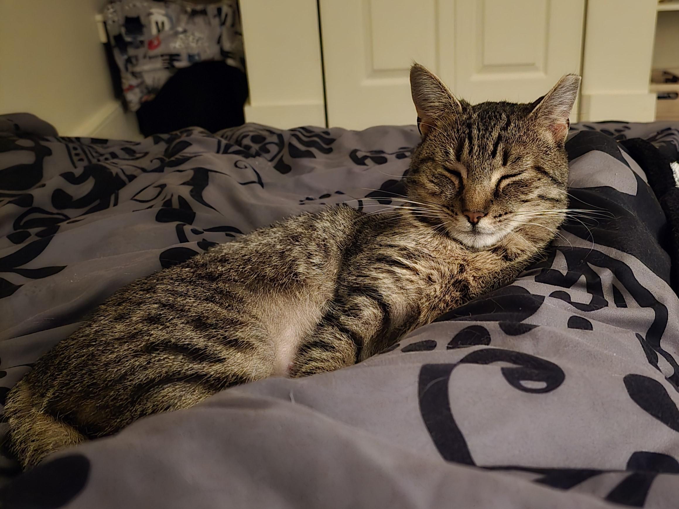 Luna photo 5