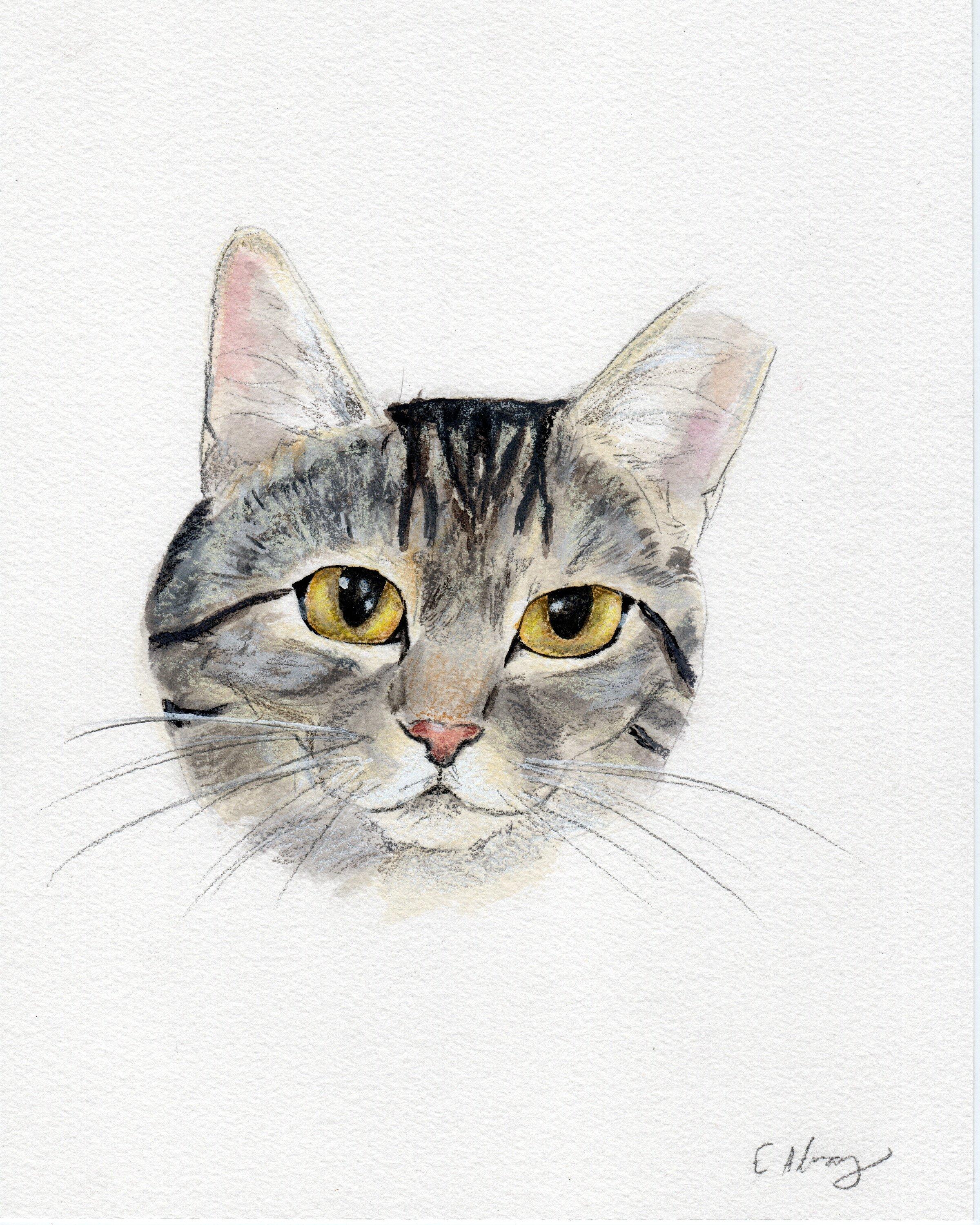 Enlarge Luna, a Adoptable Domestic Short Hair in Lemoyne, PA image 6/6