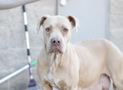 Annika — thumbnail 2