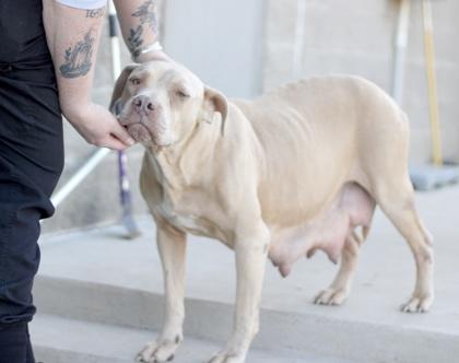 Annika — thumbnail 3