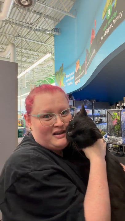 Enlarge Midnight, an adopted Domestic Long Hair in Beckley, WV video 2/5