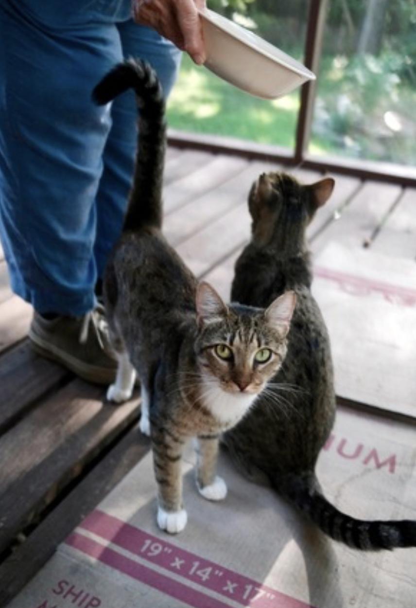 Chalky and Rusti — thumbnail 3