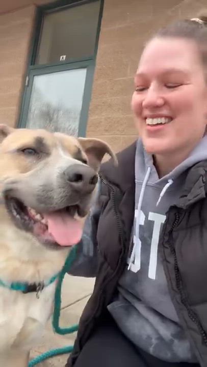 Enlarge TROUT, a Adoptable mixed breed in Cranston, RI video 3/3