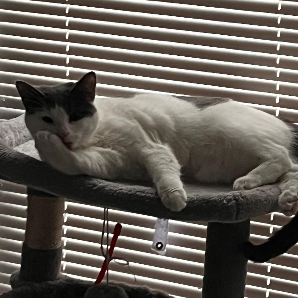 Izzy — thumbnail 5