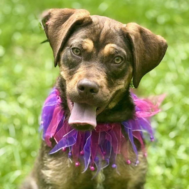 Chloe photo 2