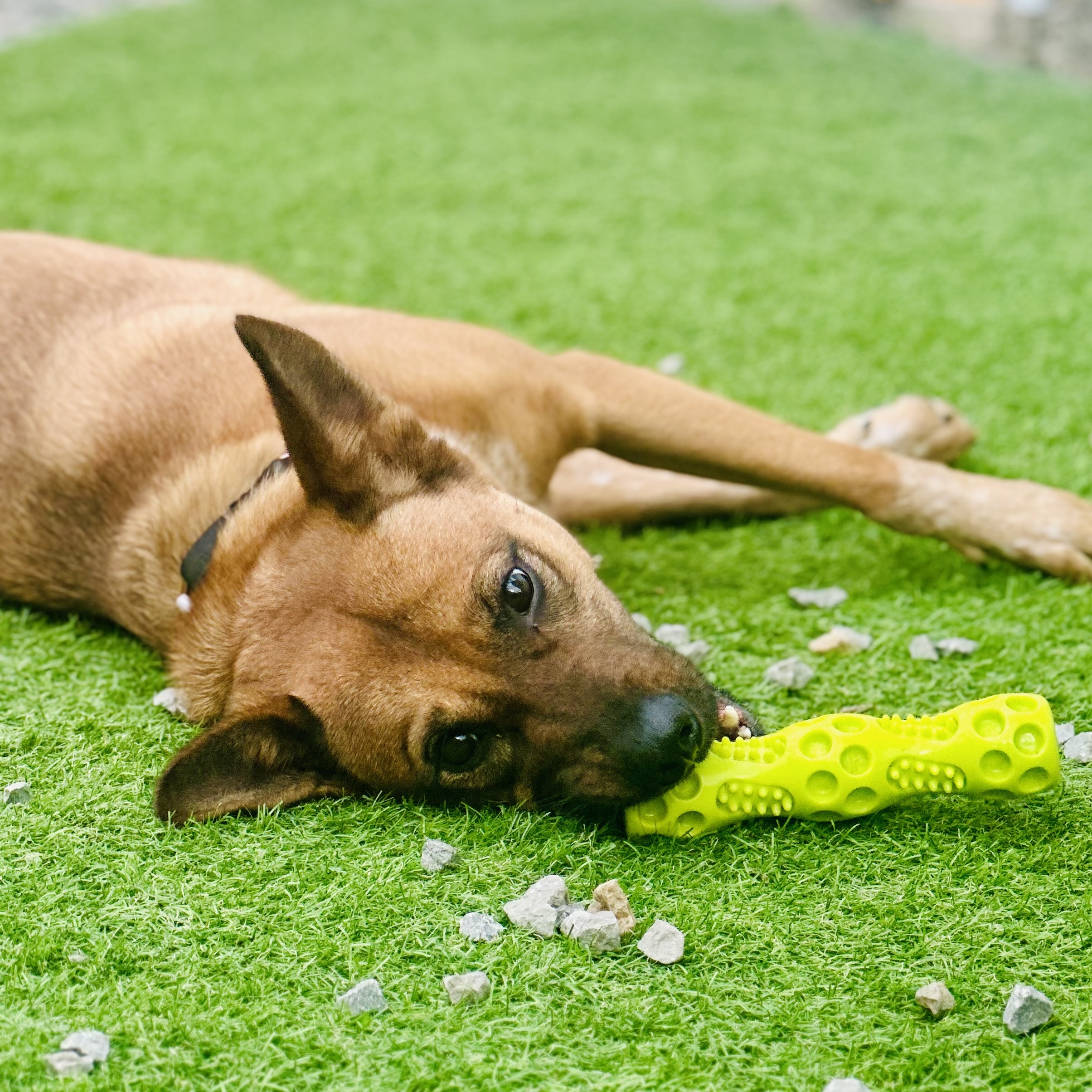 Emma May — thumbnail 5