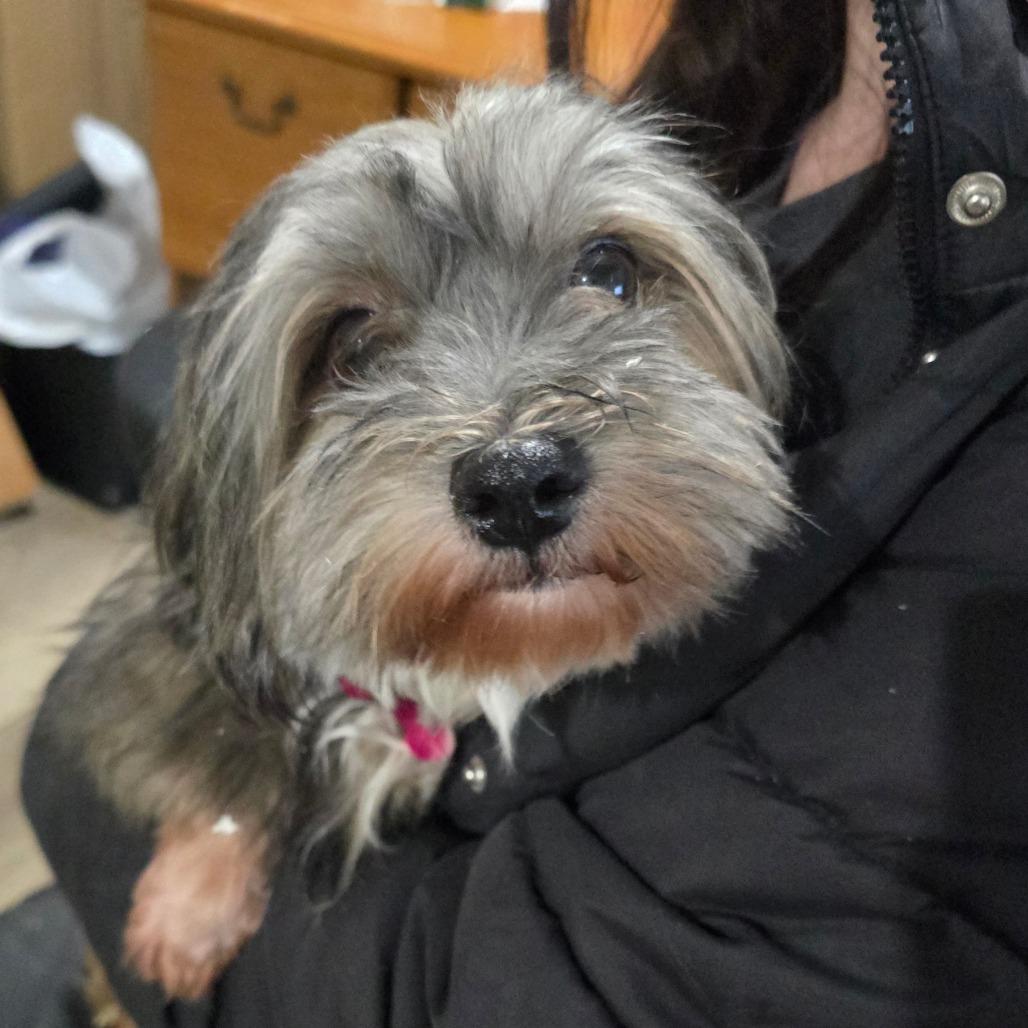 Autumn A thumbnail 2