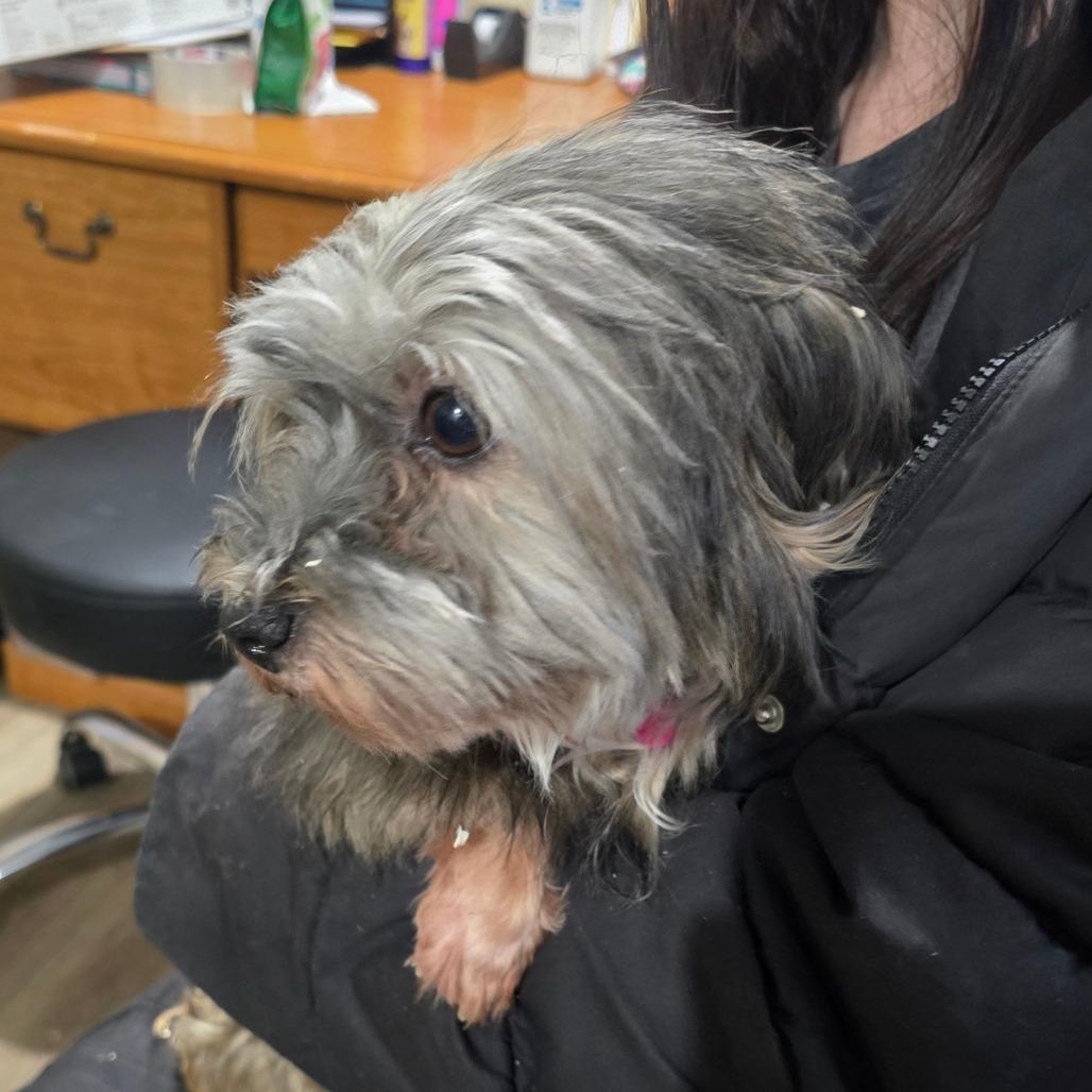 Autumn A thumbnail 3