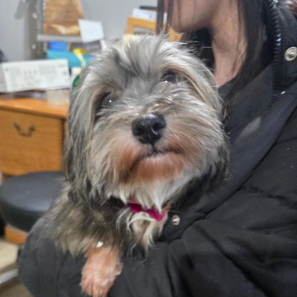 Autumn A thumbnail 4