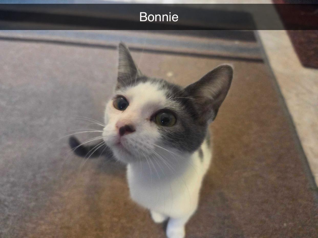 Bonnie