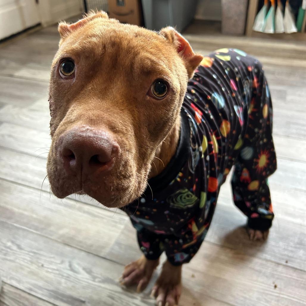 Harvey Dent — thumbnail 5