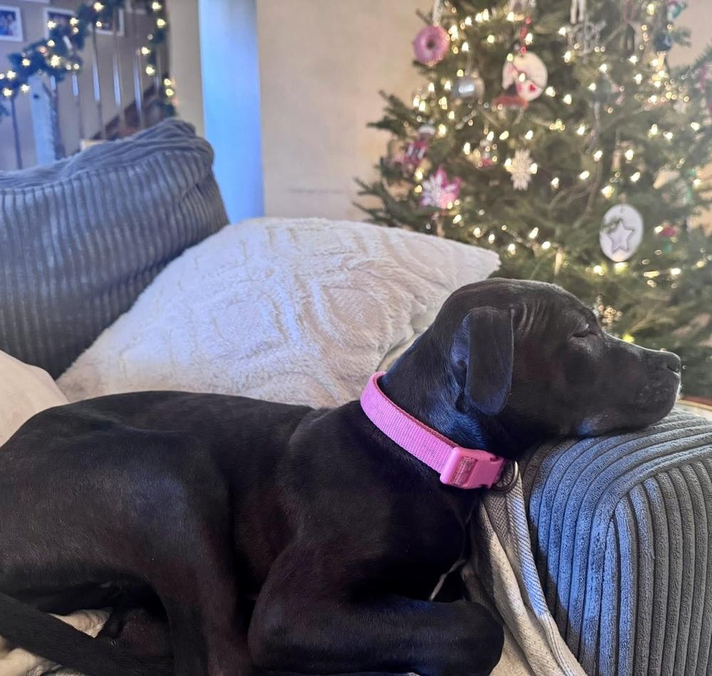 Wednesday thumbnail 2