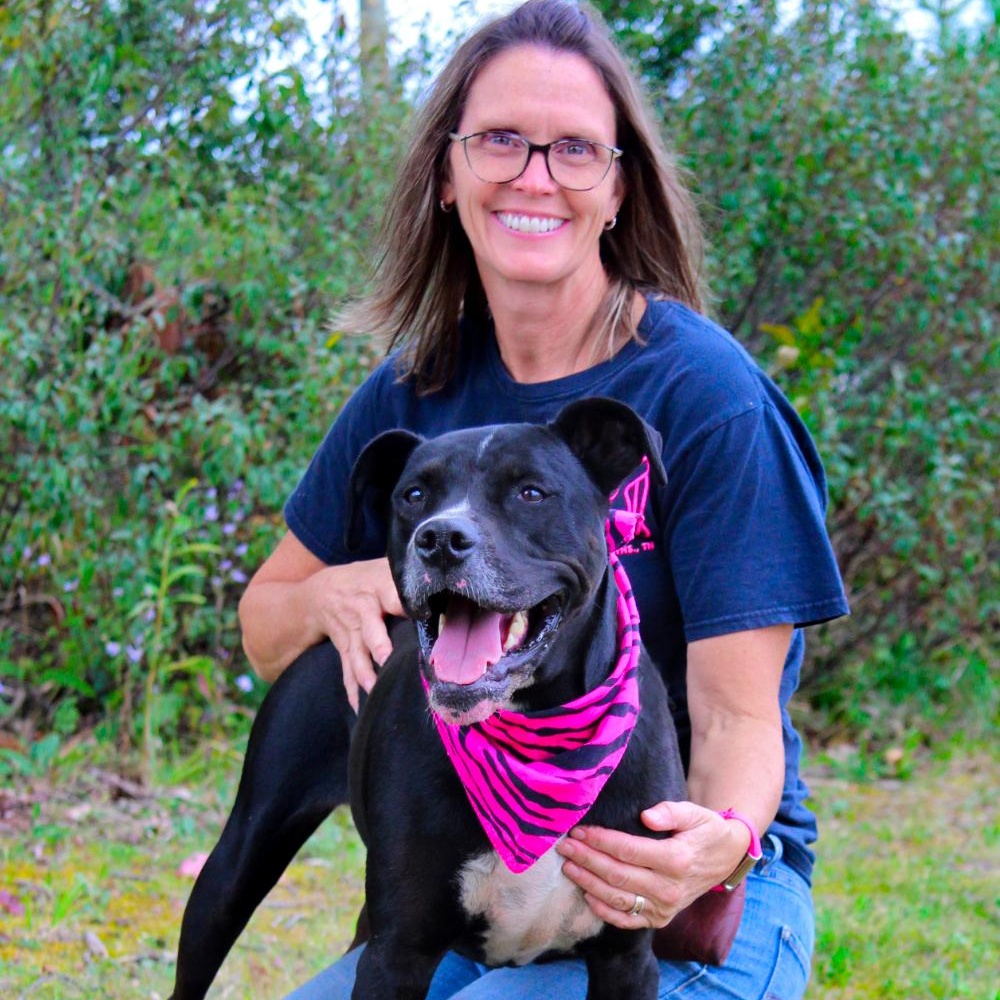 Luna, an adoptable Mixed Breed in Cheboygan, MI, 49721 | Photo Image 6