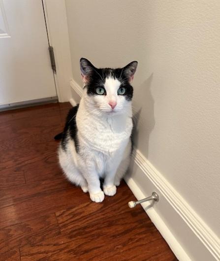 Kiki photo 3
