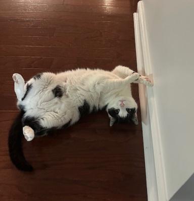 Kiki photo 2