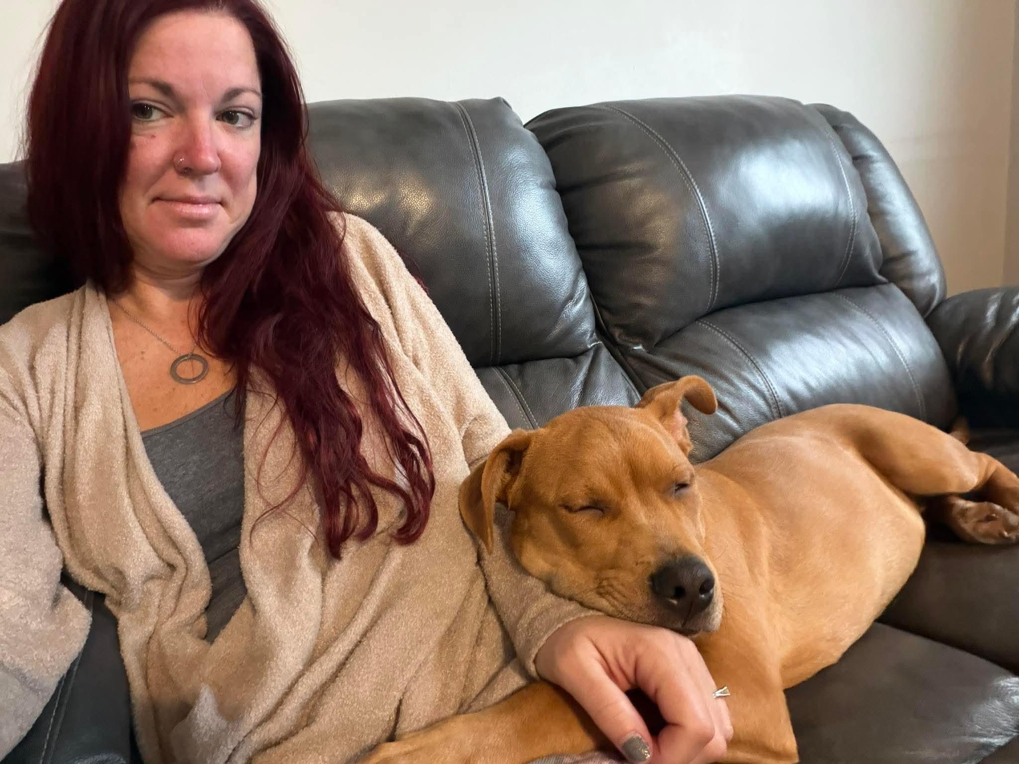 Enlarge HENDRIX, an adopted mixed breed in Blue Bell, PA image 1/4