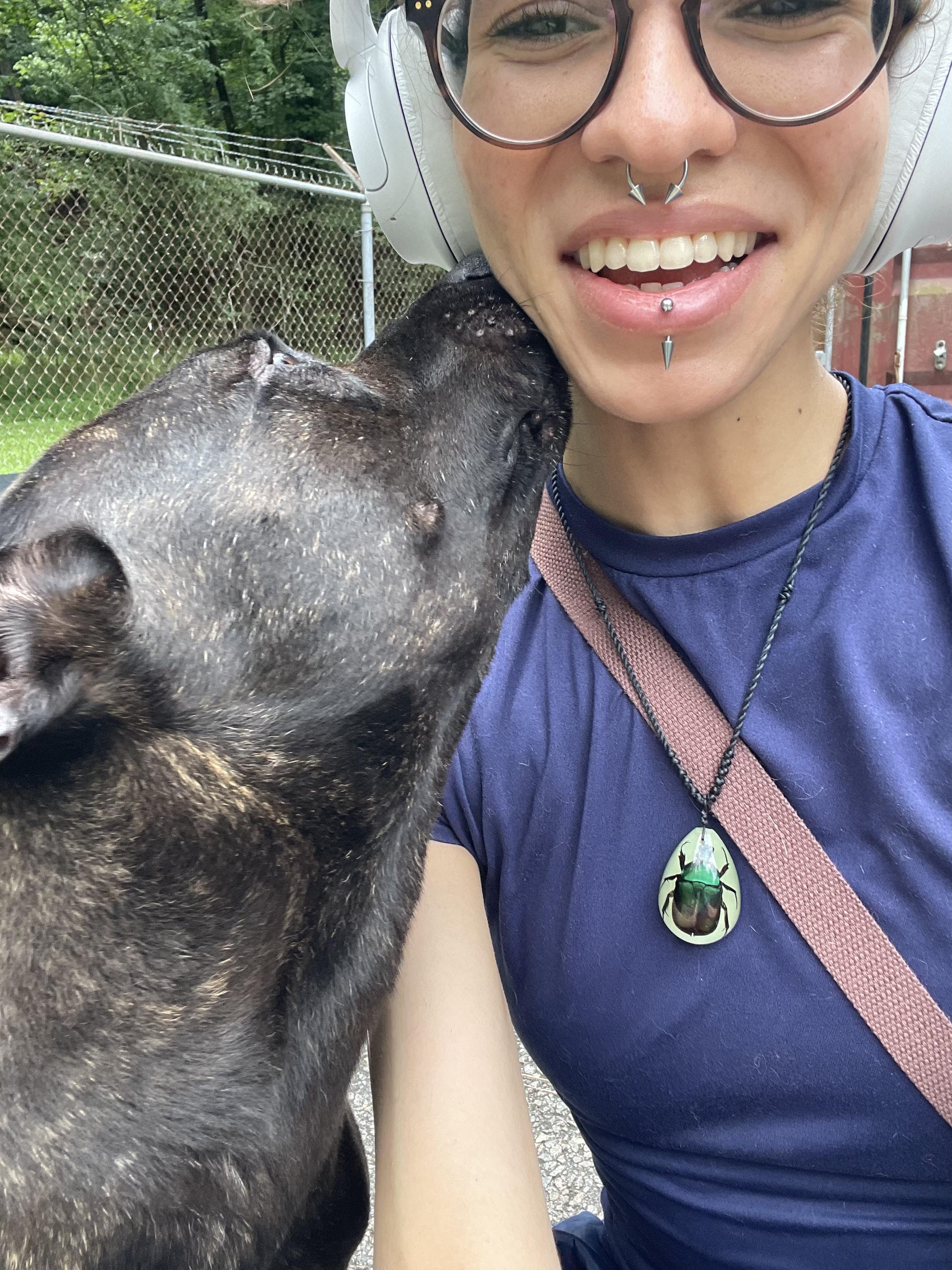 Enlarge Foxie (in foster), a Adoptable mixed breed in Petersburg, VA image 4/6