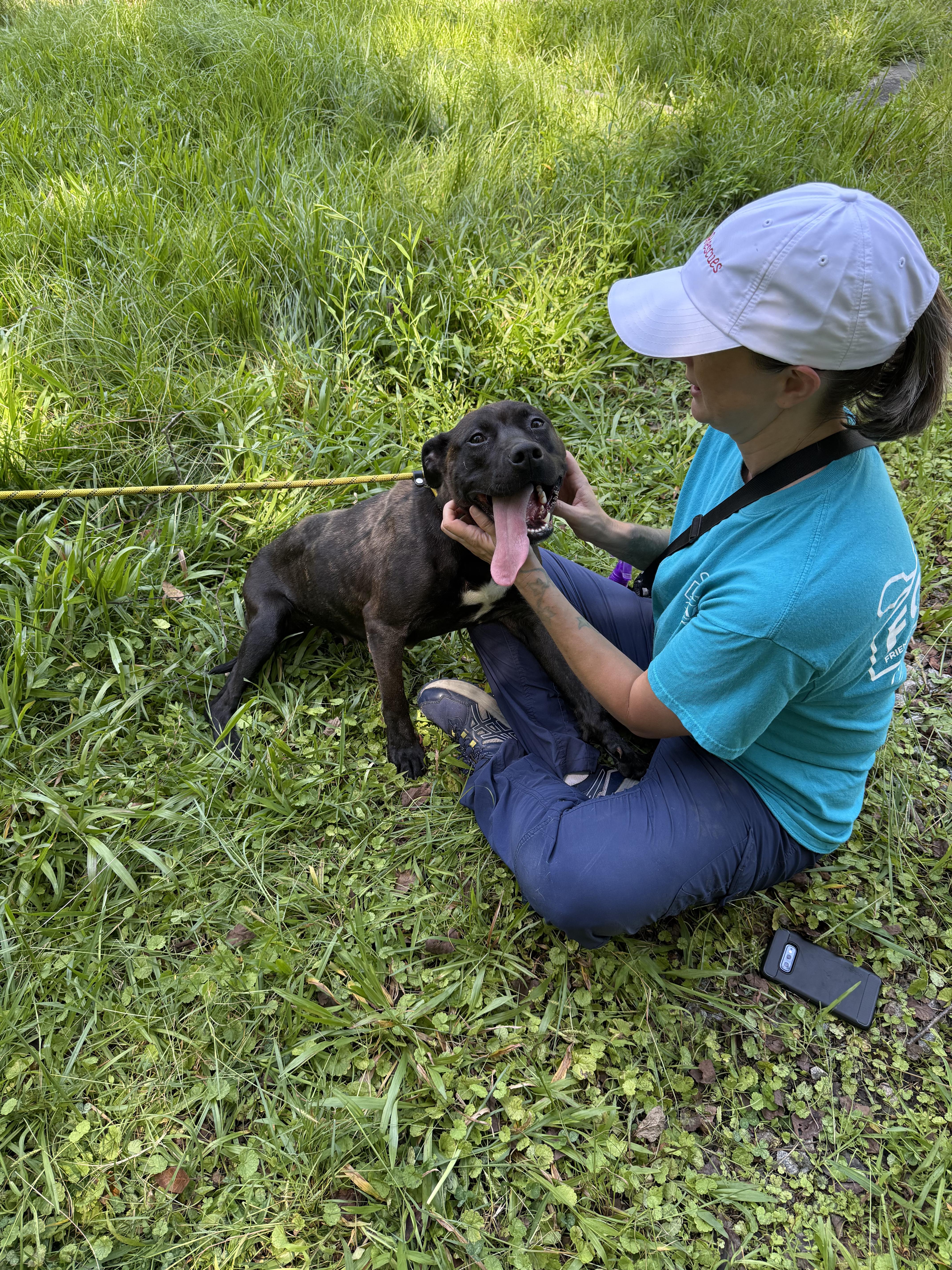 Foxie, a Adoptable mixed breed in Petersburg, VA image 5/6