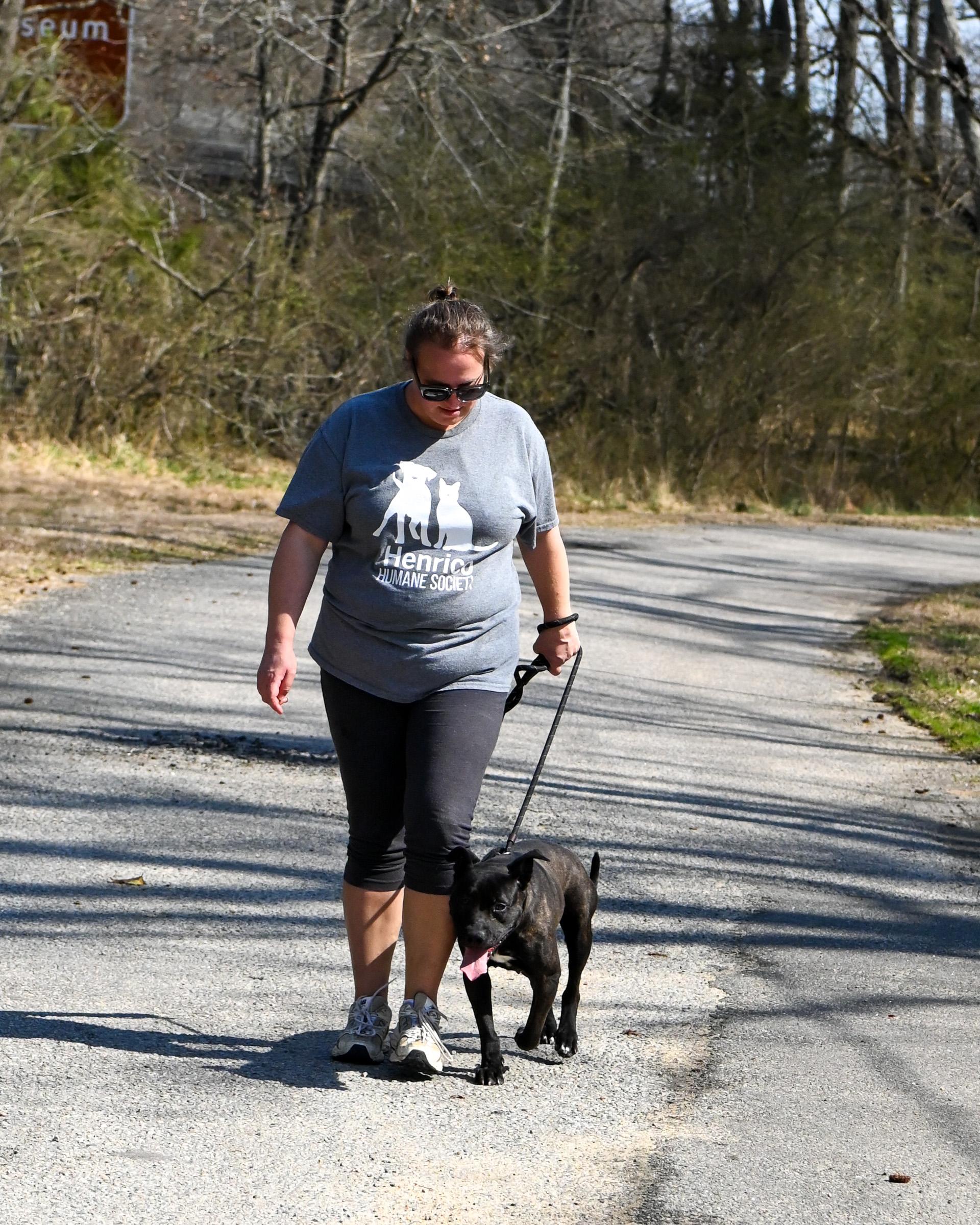 Enlarge Foxie, a Adoptable mixed breed in Petersburg, VA image 5/6