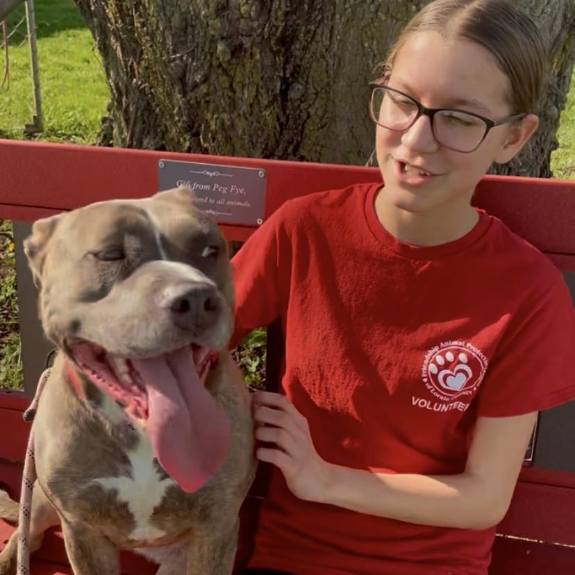 Enlarge Tiny Ask to Meet! In Foster!, a Adoptable mixed breed in Elyria, OH image 4/6