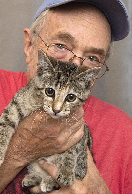 Amy, a Adoptable mixed breed in Chicago, IL image 3/4