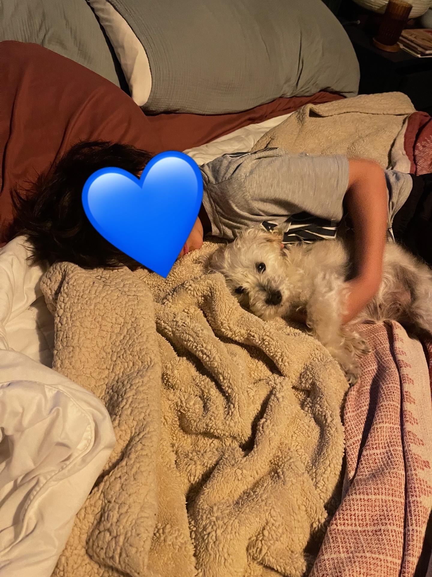 Enlarge Molly, a ADOPTABLE mixed breed in Pasadena, CA image 6/6