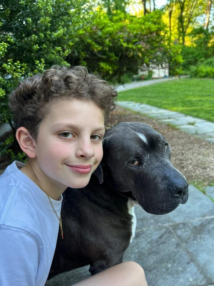 Enlarge Lucky Loki, a Adoptable mixed breed in Brewster , NY image 2/6