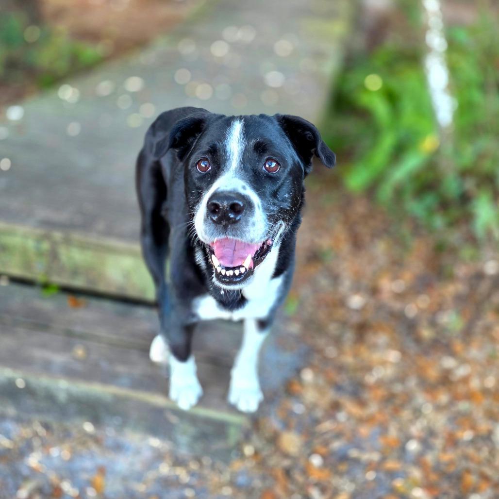 Chloe — thumbnail 4