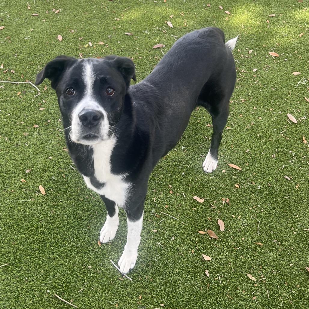 Chloe — thumbnail 6