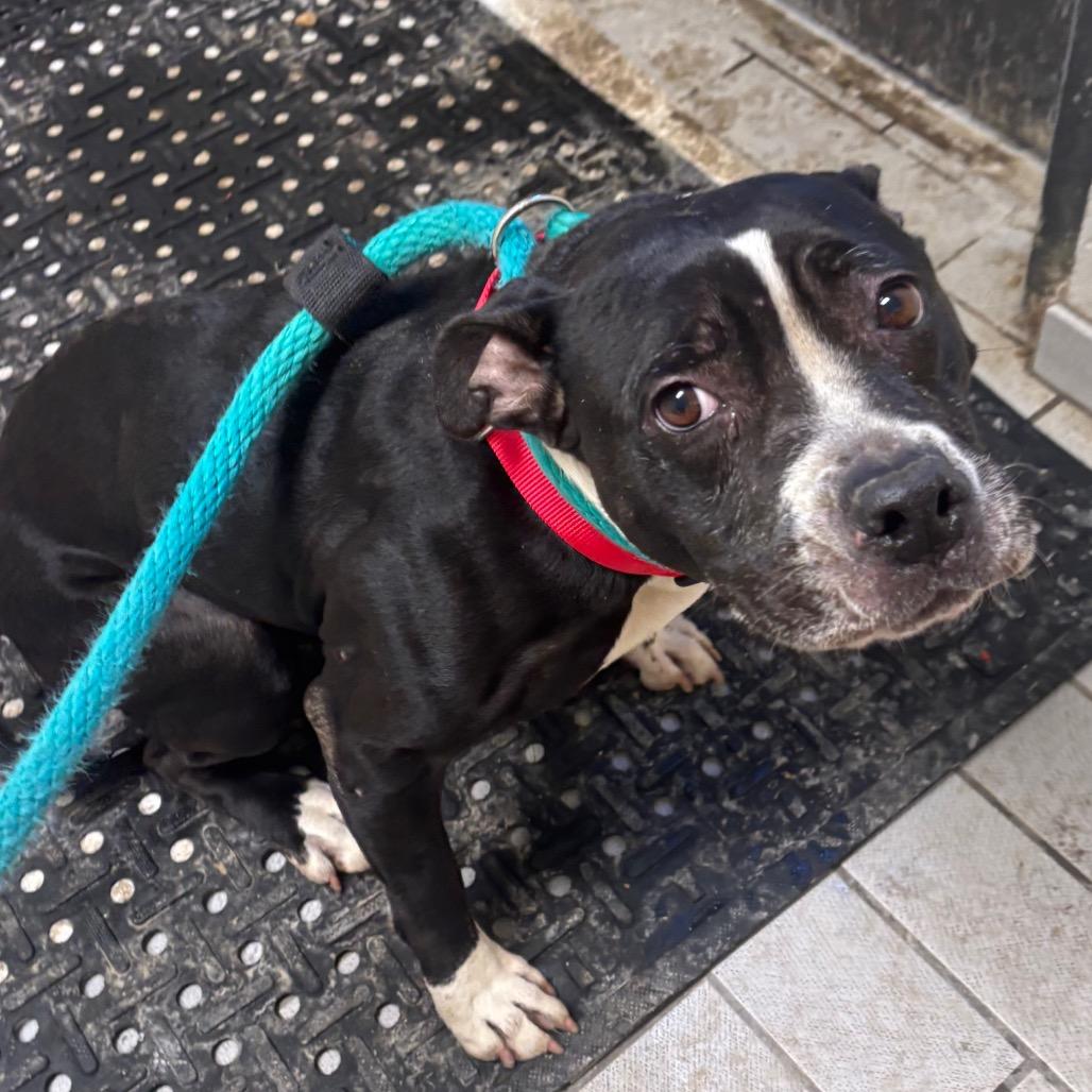 Dasani — thumbnail 2