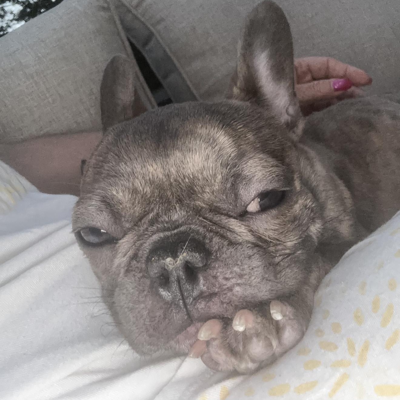 Millie 4