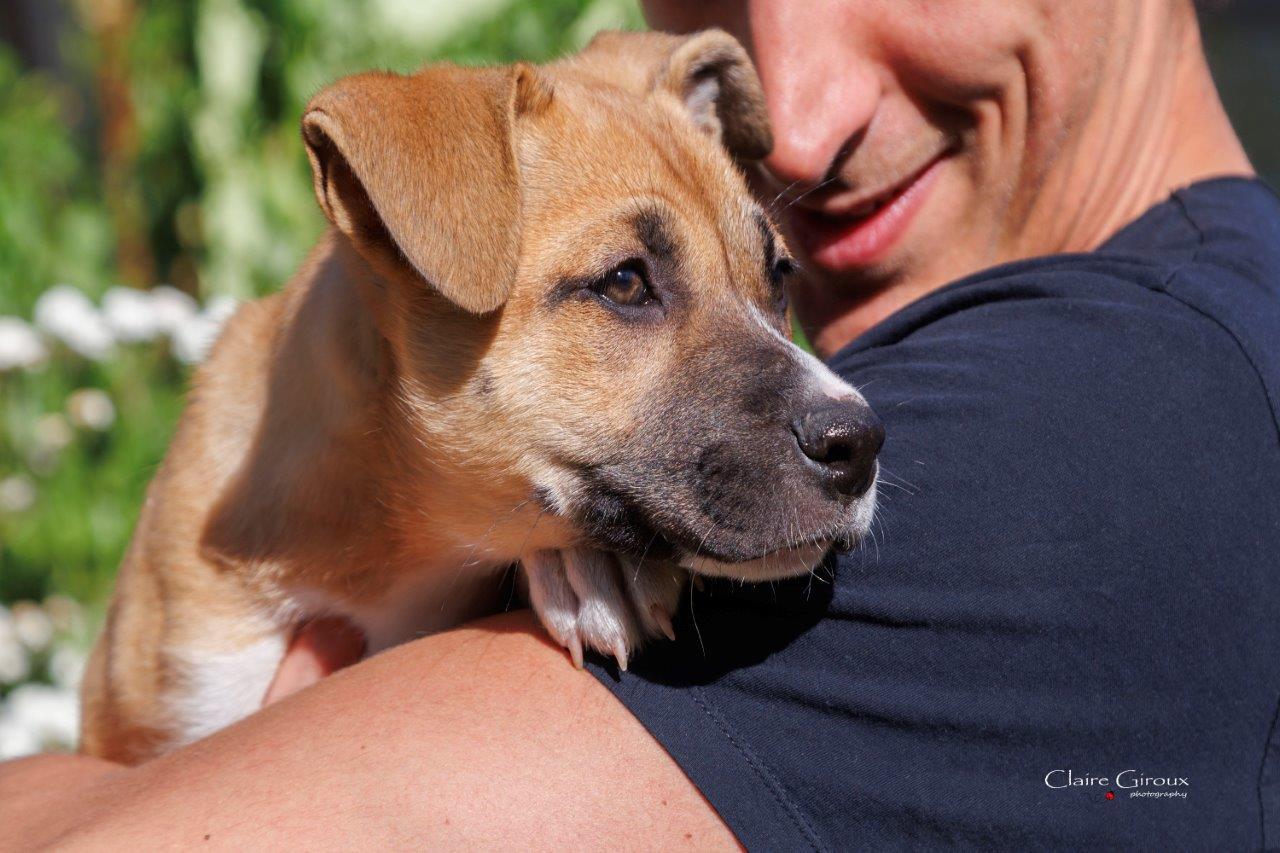 Enlarge Leena, a Adoptable Mixed Breed in Carrollton, TX image 2/2