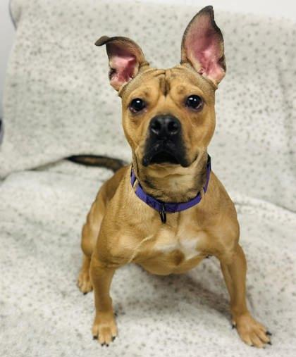 Witherspoon — thumbnail 2