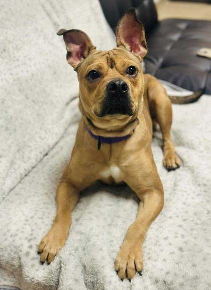 Witherspoon — thumbnail 3