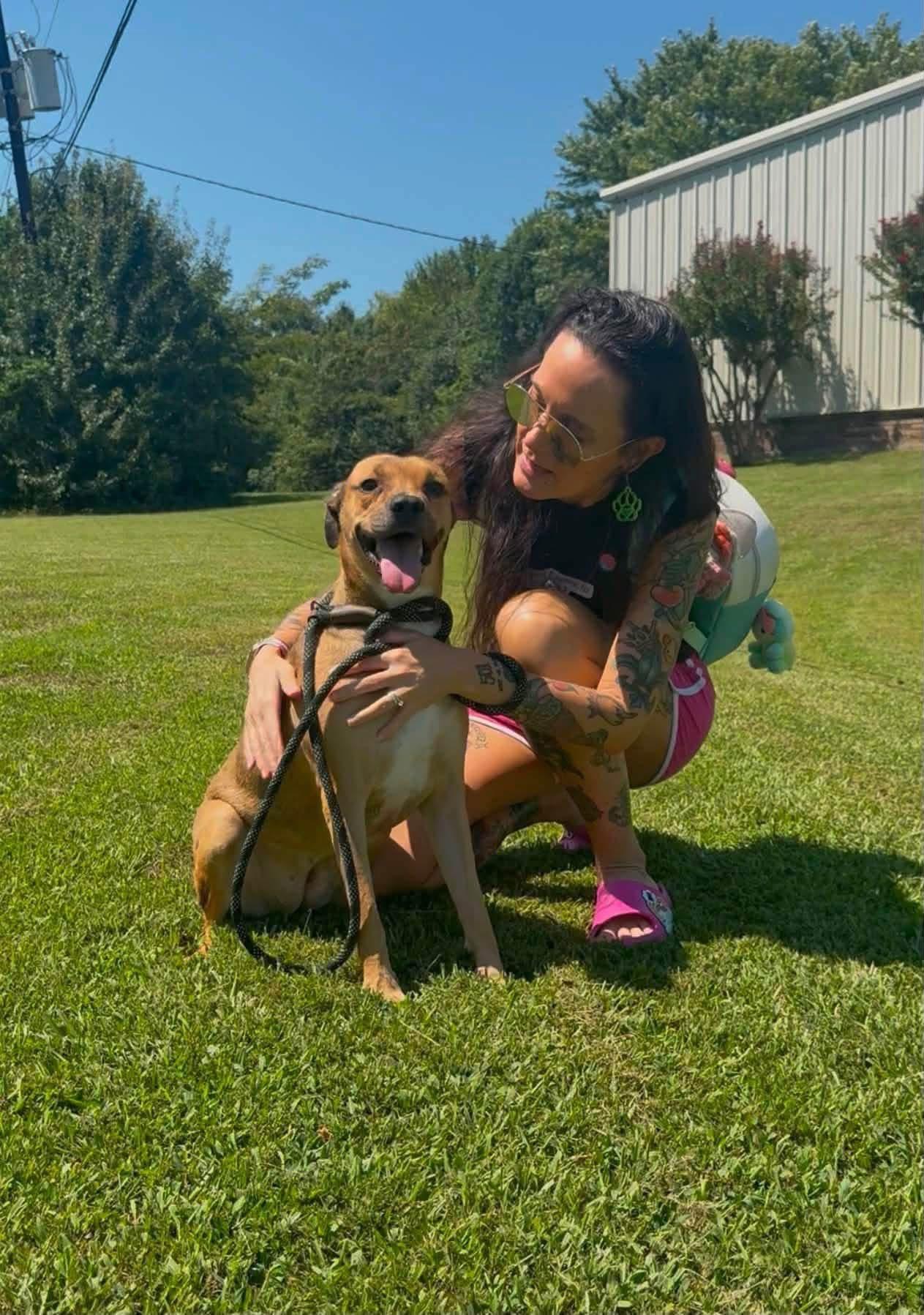 Enlarge Ingrid, a Adopted mixed breed in Alexander, AR image 4/6