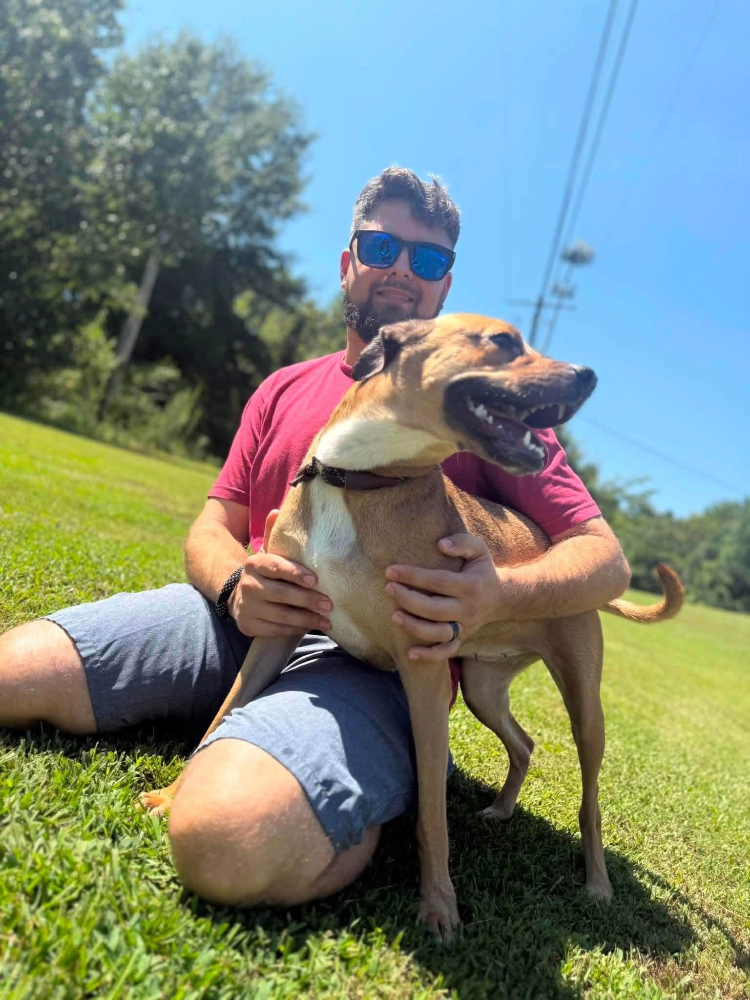 Enlarge Ingrid, a Adopted mixed breed in Alexander, AR image 5/6
