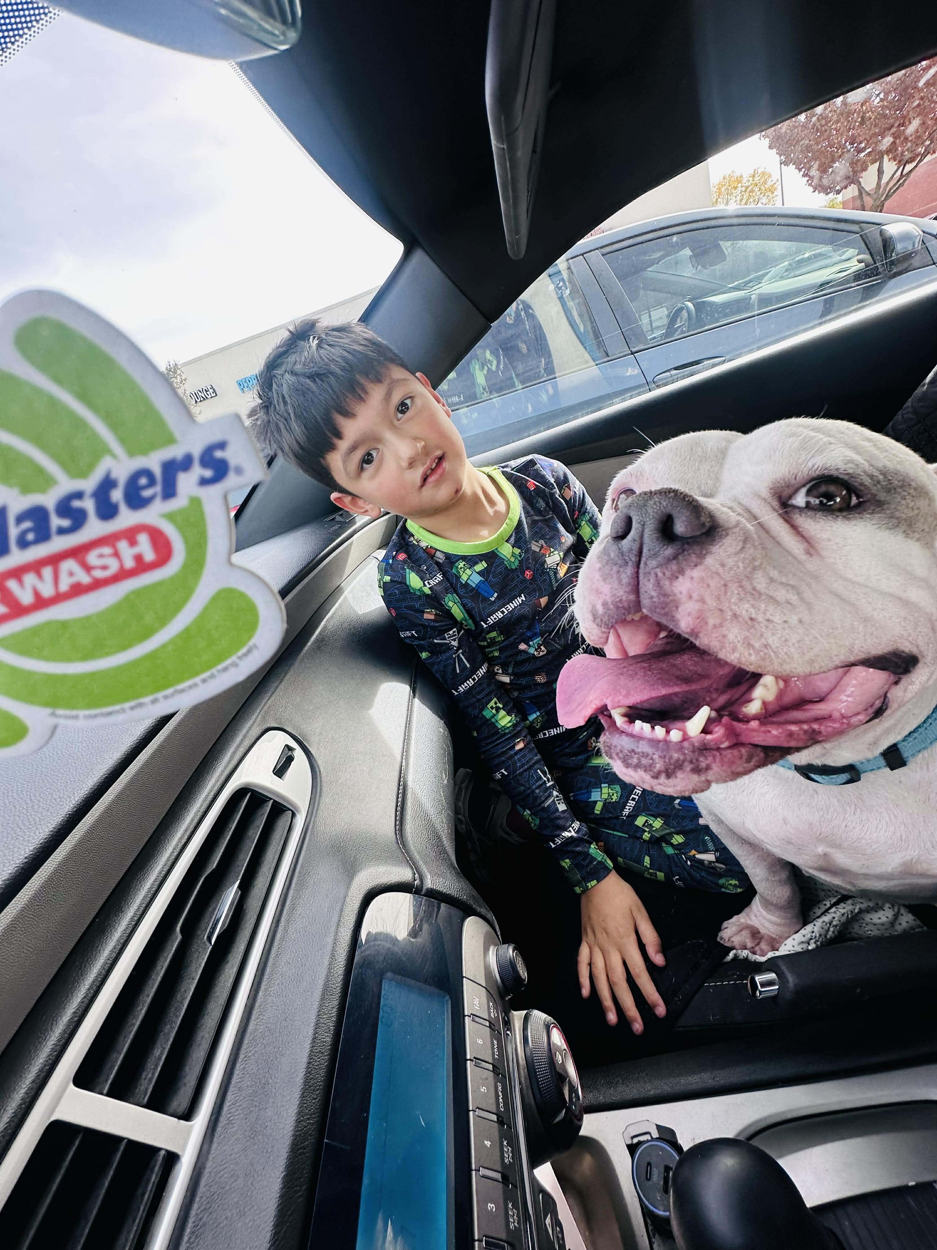 Kiki, a Adoptable Pit Bull Terrier in Arlee, MT image 1/6