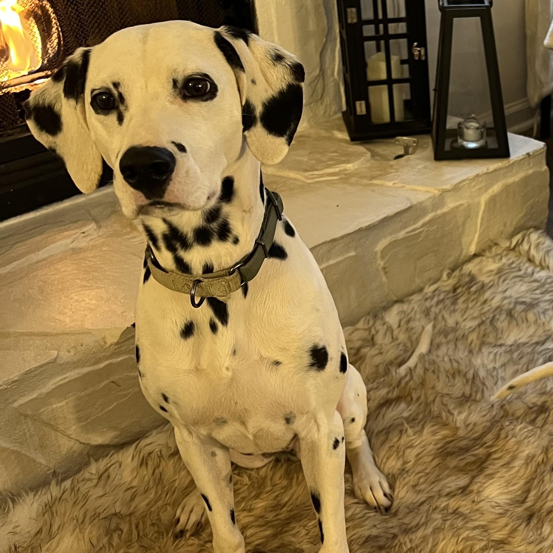 Annabelleduluth   Ga