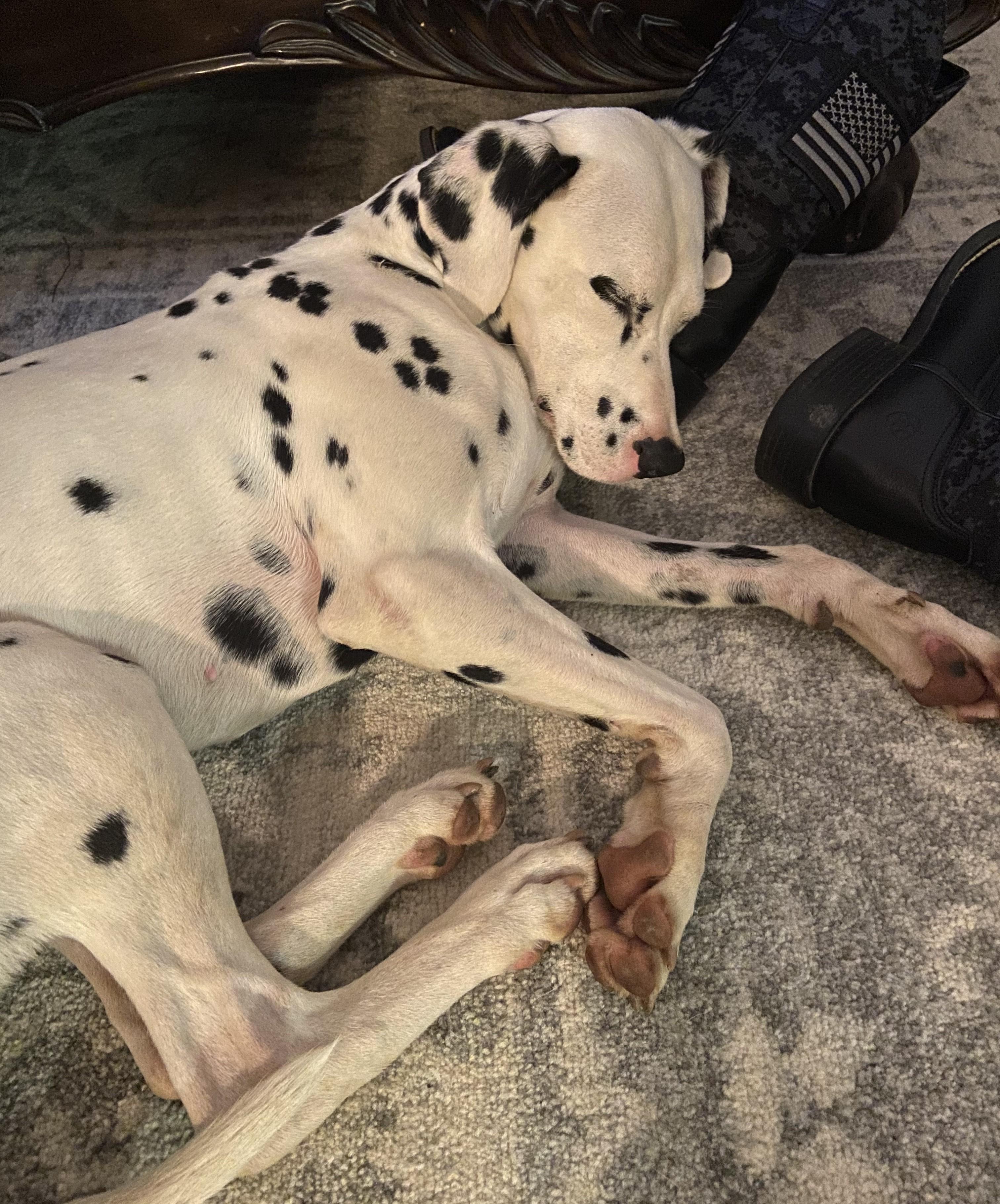 Annabelleduluth   Ga thumbnail 4