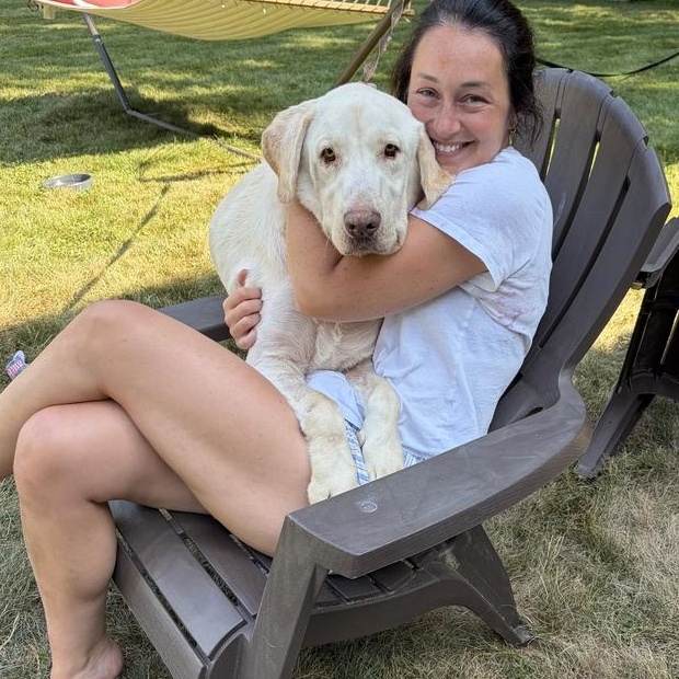 Enlarge Sebastian, a ADOPTABLE Labrador Retriever in Bowdoin, ME image 1/5