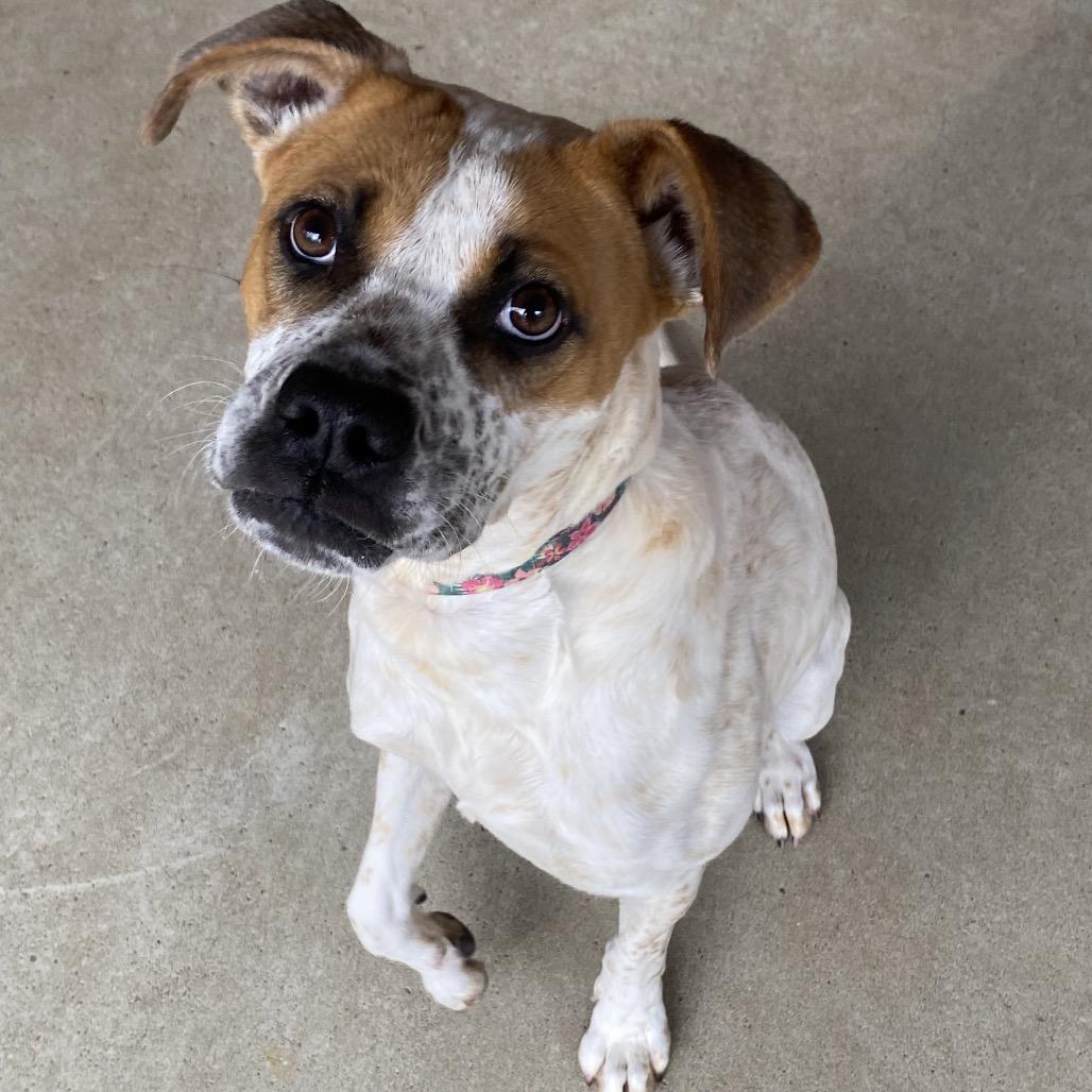 Stacy 2488 — thumbnail 2