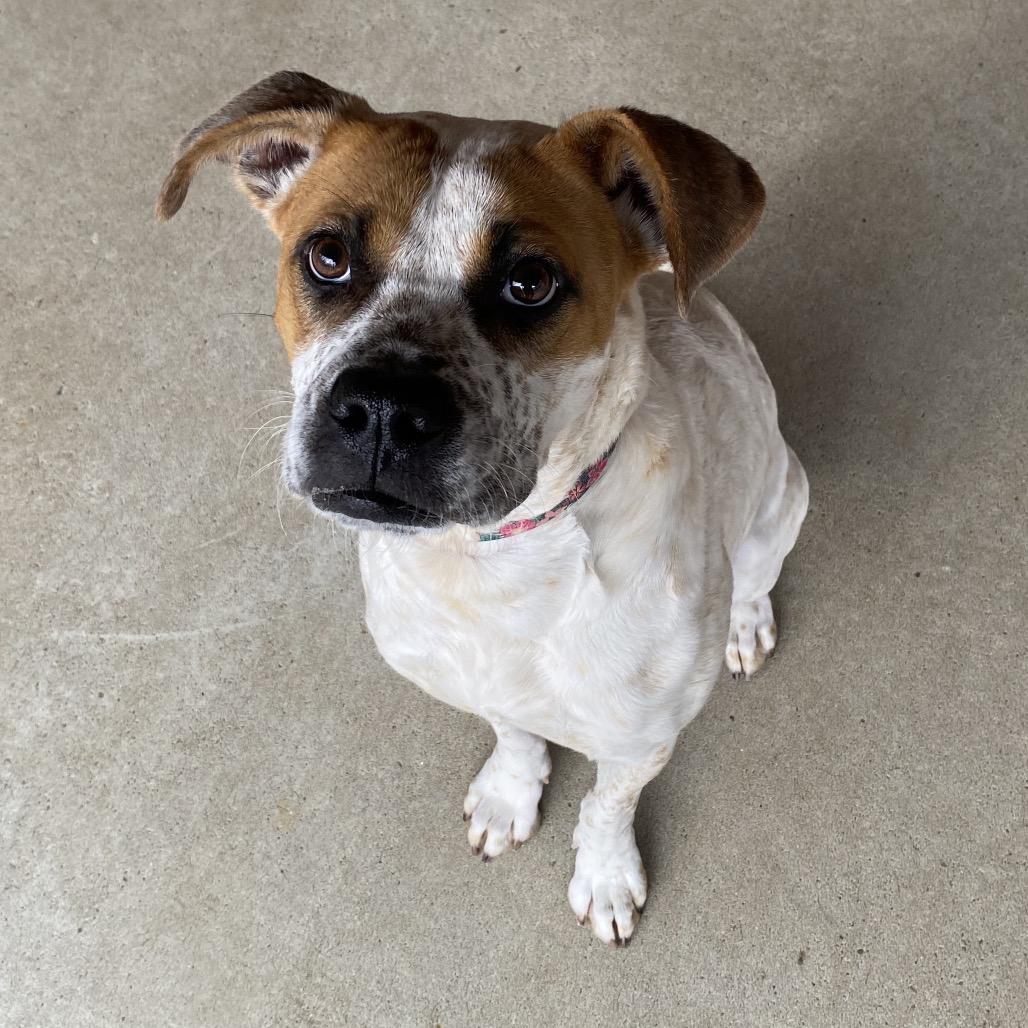 Stacy 2488 — thumbnail 3