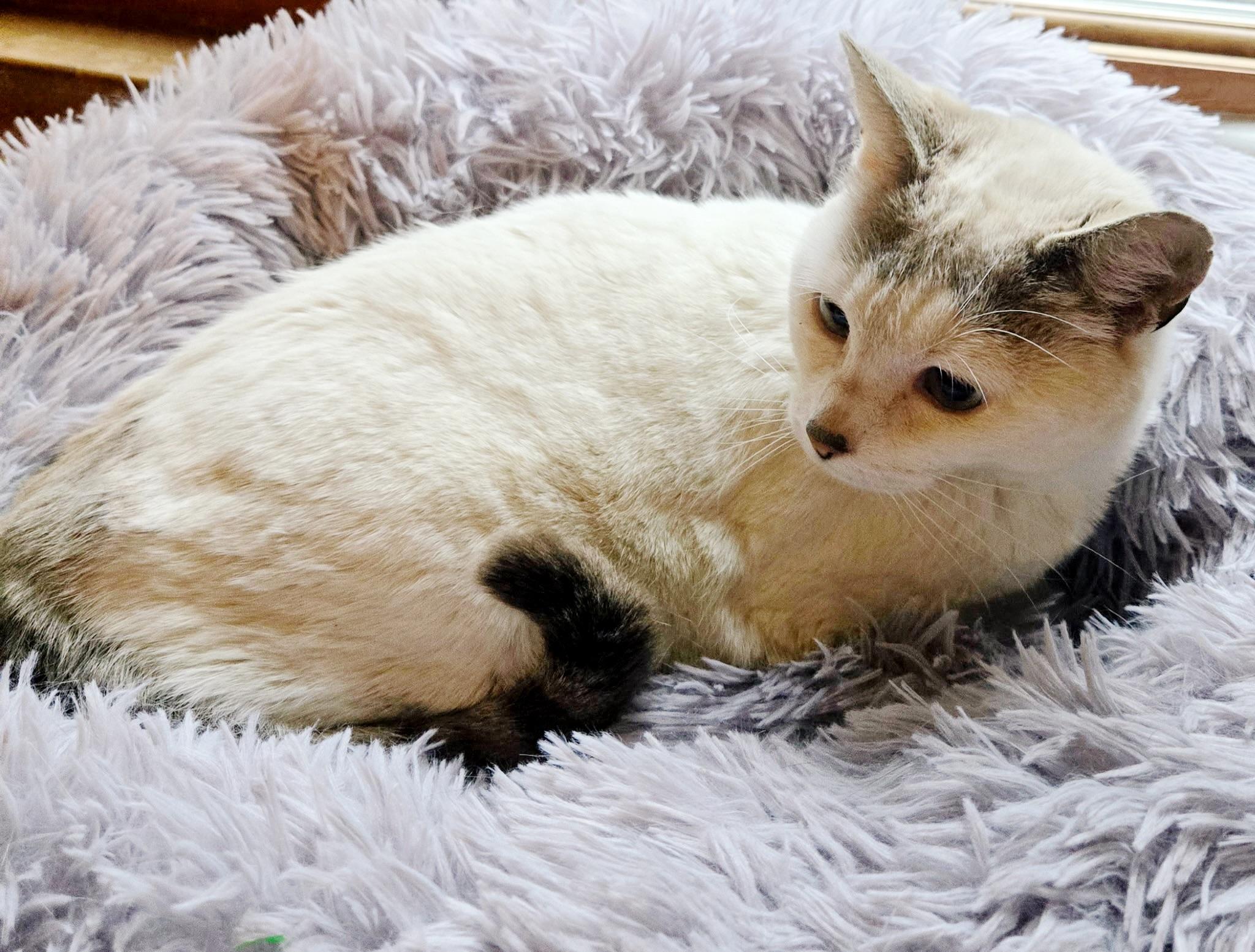 Coco thumbnail 2