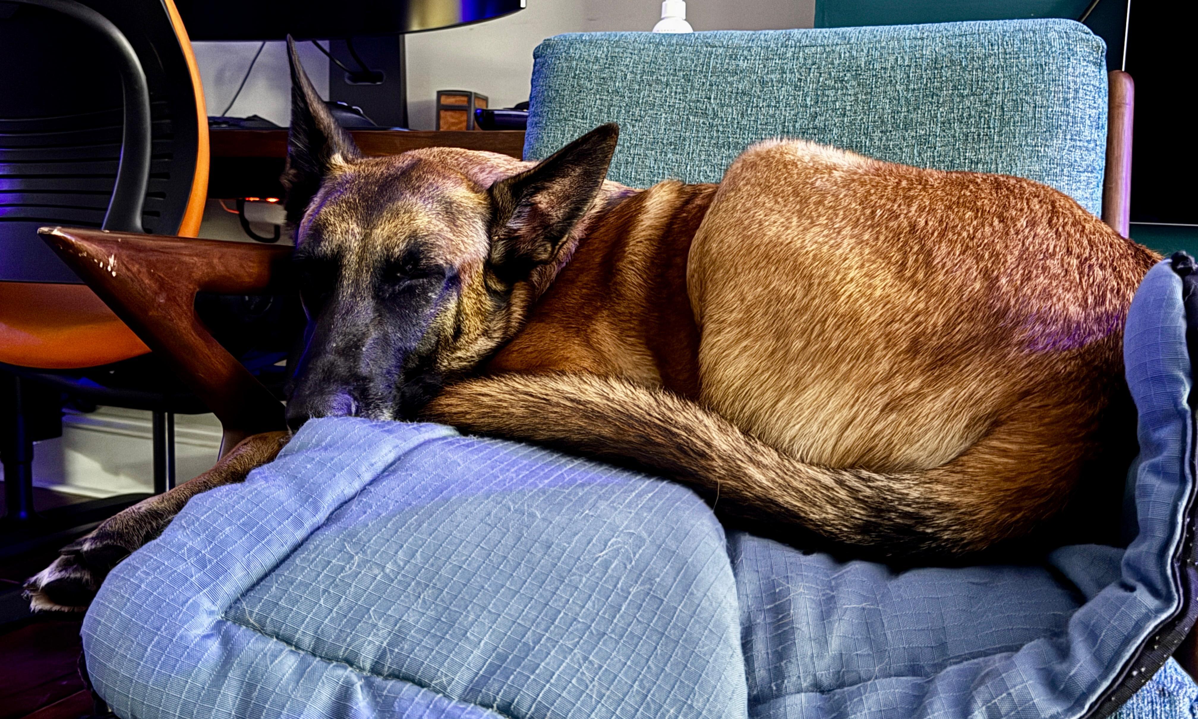 Rocky photo 2