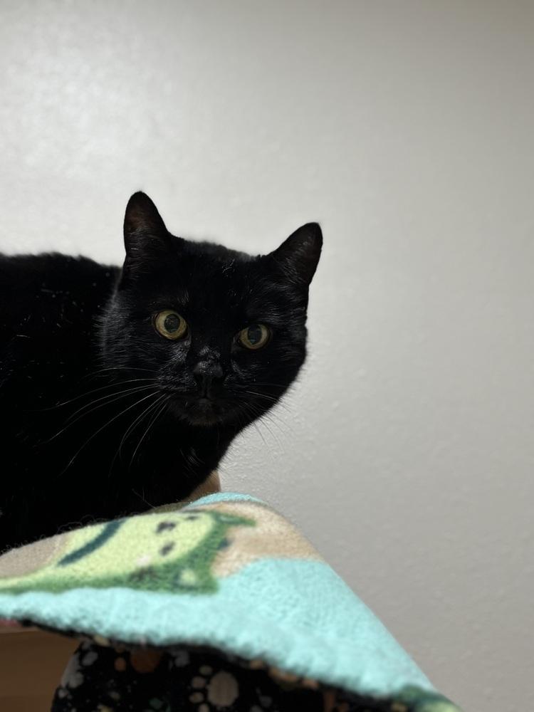 Lava Lamp — thumbnail 2