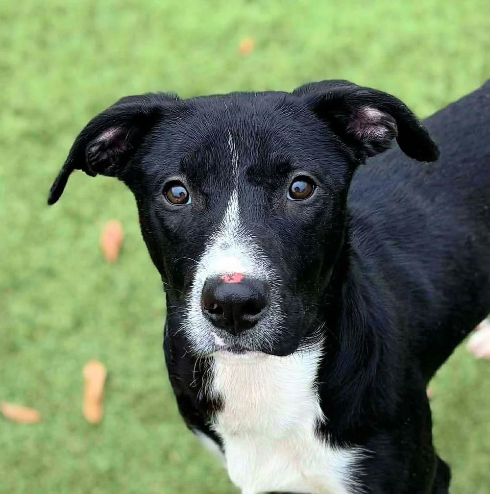 Wasabi — thumbnail 3